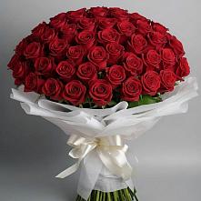 Букет 101 Красная роза Блэк Мэджик в Широчанке