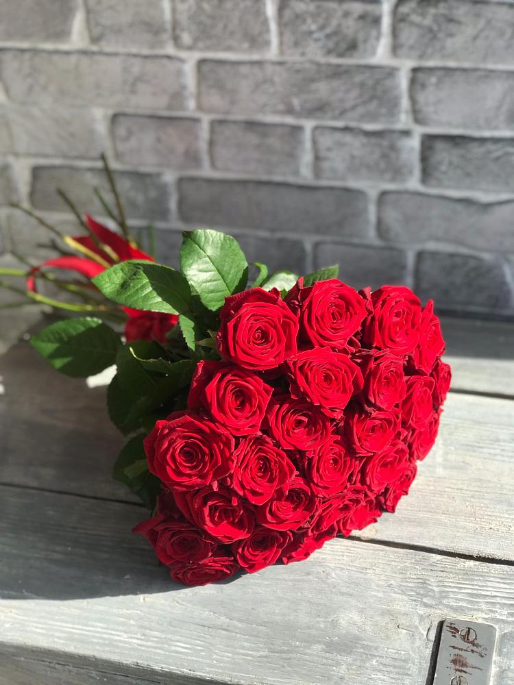 Букет Красные розы Фридом в Широчанке