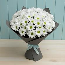 Букет цветов из:  Хризантемы в Широчанке