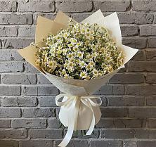 Букет цветов из:  Ромашки в Широчанке