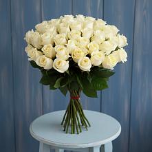 Букет 51 Белая роза Эдлесс Лав в Широчанке