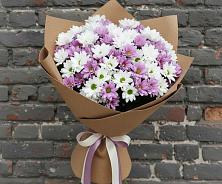 Букет цветов из:  Хризантемы #REPLACE_PRED# Широчанке