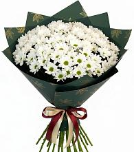 Букет цветов из:  Хризантемы в Широчанке