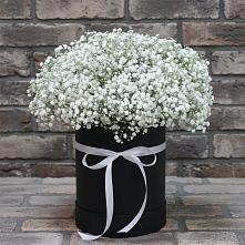 Цветочная композиция из Гипсофила в шляпной коробке в Широчанке