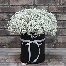 Цветочная композиция из Гипсофила в шляпной коробке в Широчанке