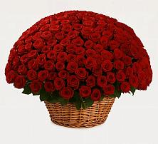 Премиум букет из: Розы в Широчанке